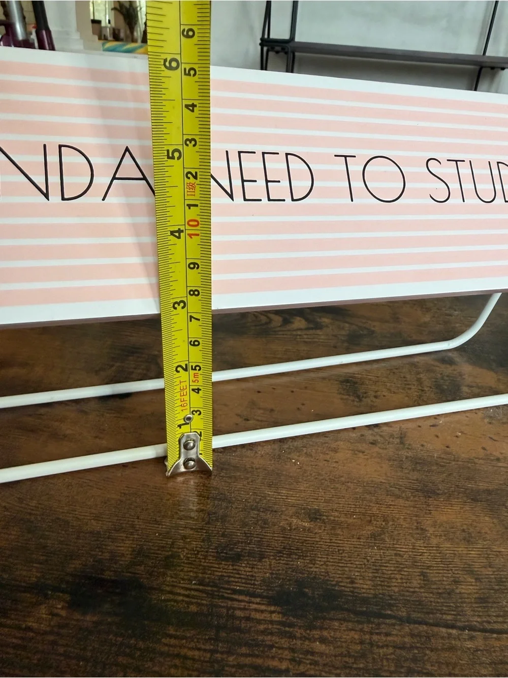 Kinda Need to Study - Want to Take a Nap Pink Desk Sign - Home Office Accent